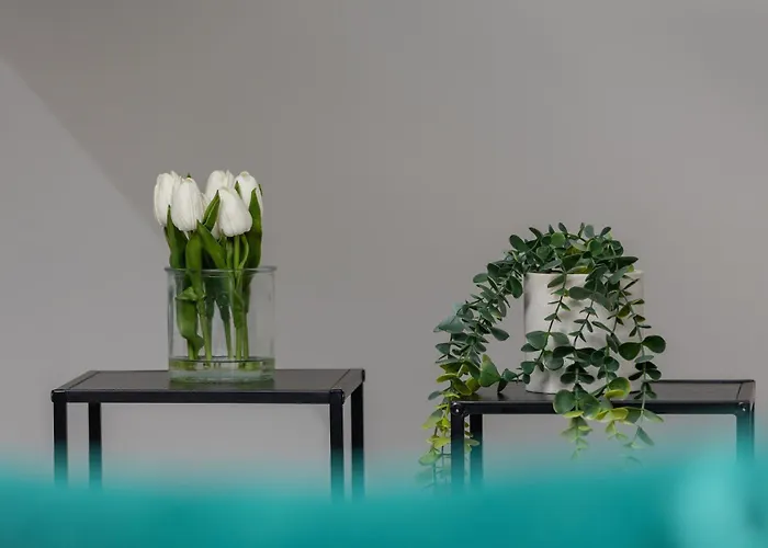 Cosy Kosciuszki Near The Main Train Station By Renters דירה קטוביץ